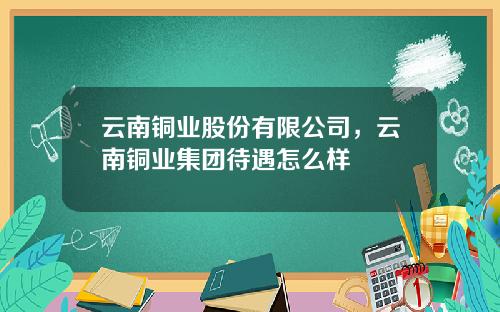 云南铜业股份有限公司，云南铜业集团待遇怎么样