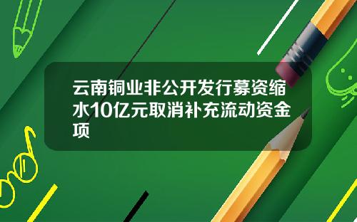 云南铜业非公开发行募资缩水10亿元取消补充流动资金项