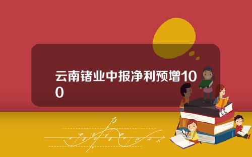 云南锗业中报净利预增100
