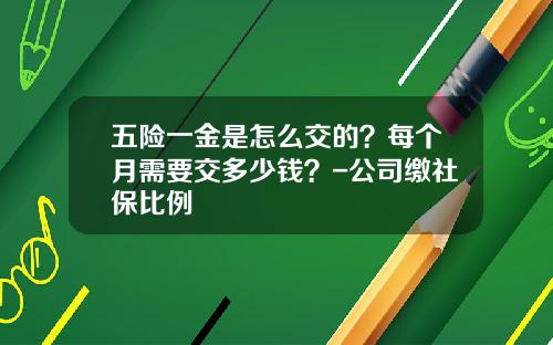 五险一金是怎么交的？每个月需要交多少钱？-公司缴社保比例
