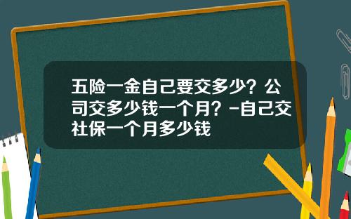 五险一金自己要交多少？公司交多少钱一个月？-自己交社保一个月多少钱