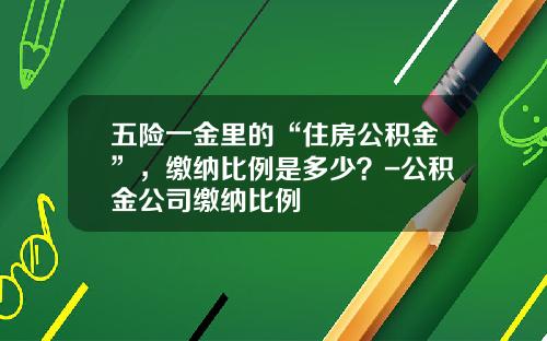 五险一金里的“住房公积金”，缴纳比例是多少？-公积金公司缴纳比例