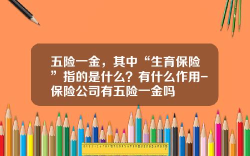 五险一金，其中“生育保险”指的是什么？有什么作用-保险公司有五险一金吗