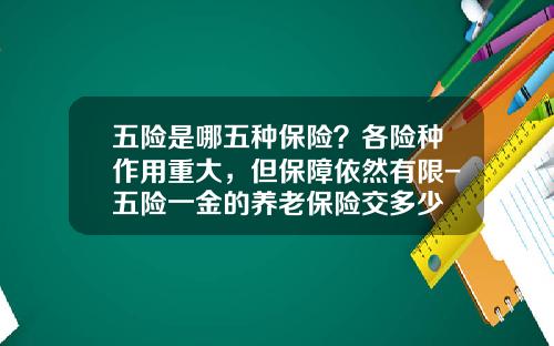 五险是哪五种保险？各险种作用重大，但保障依然有限-五险一金的养老保险交多少