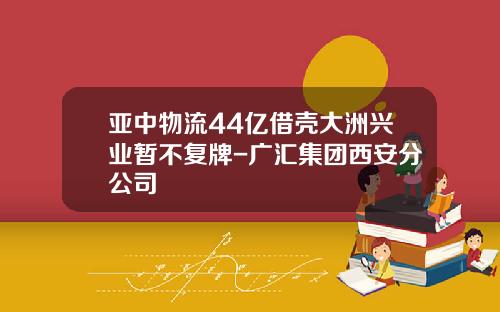亚中物流44亿借壳大洲兴业暂不复牌-广汇集团西安分公司