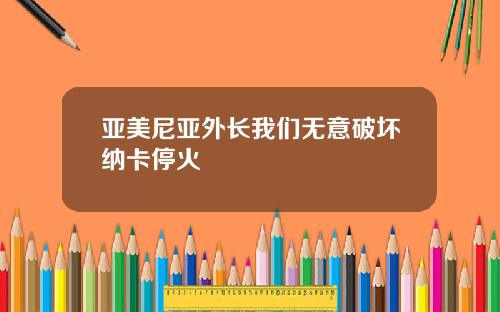 亚美尼亚外长我们无意破坏纳卡停火