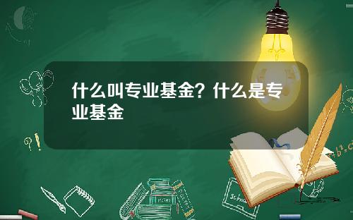 什么叫专业基金？什么是专业基金