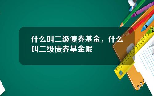 什么叫二级债券基金，什么叫二级债券基金呢