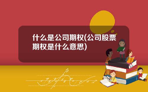 什么是公司期权(公司股票期权是什么意思)