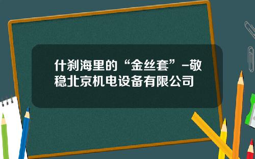 什刹海里的“金丝套”-敬稳北京机电设备有限公司