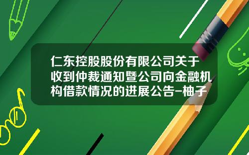 仁东控股股份有限公司关于收到仲裁通知暨公司向金融机构借款情况的进展公告-柚子资产管理有限公司