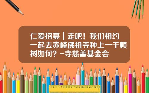 仁爱招募｜走吧！我们相约一起去赤峰佛祖寺种上一千颗树如何？-寺慈善基金会
