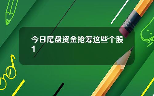 今日尾盘资金抢筹这些个股1 今日尾盘资金抢筹这些个股1