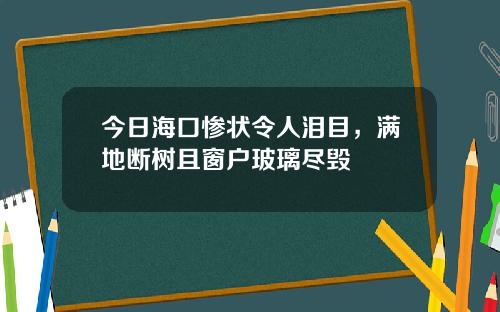 今日海口惨状令人泪目，满地断树且窗户玻璃尽毁