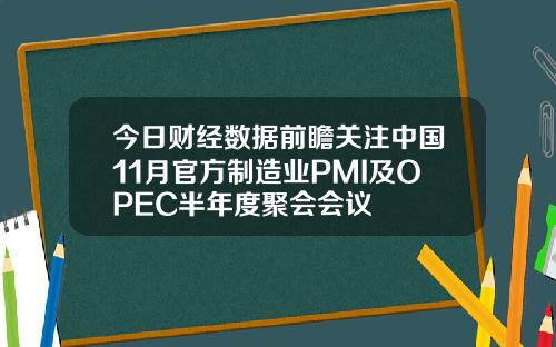 今日财经数据前瞻关注中国11月官方制造业PMI及OPEC半年度聚会会议
