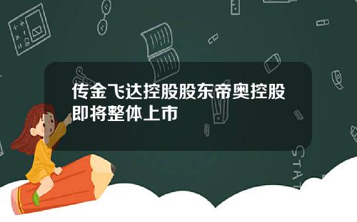 传金飞达控股股东帝奥控股即将整体上市