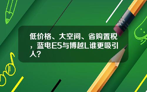 低价格、大空间、省购置税，蓝电E5与博越L谁更吸引人？