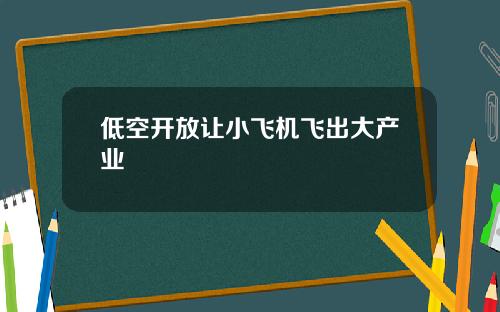 低空开放让小飞机飞出大产业