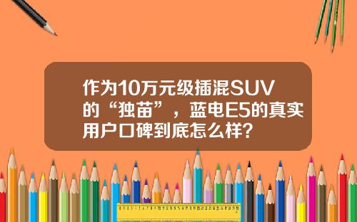 作为10万元级插混SUV的“独苗”，蓝电E5的真实用户口碑到底怎么样？