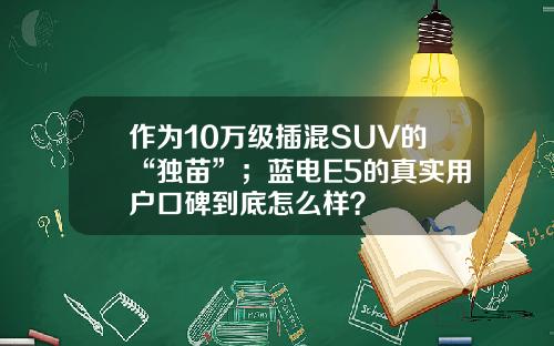 作为10万级插混SUV的“独苗”；蓝电E5的真实用户口碑到底怎么样？
