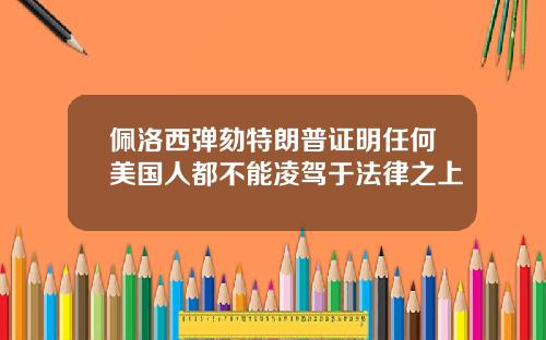 佩洛西弹劾特朗普证明任何美国人都不能凌驾于法律之上