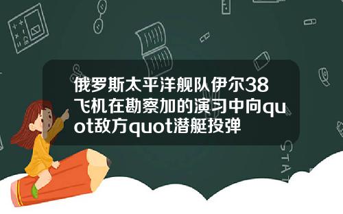 俄罗斯太平洋舰队伊尔38飞机在勘察加的演习中向quot敌方quot潜艇投弹