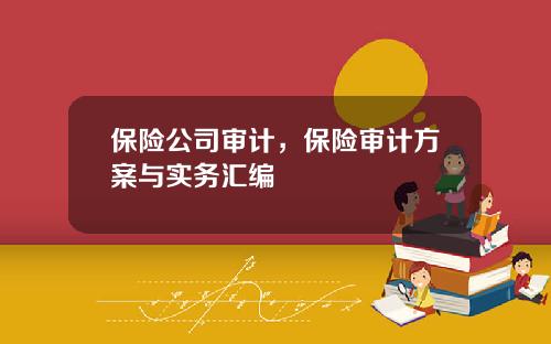 保险公司审计，保险审计方案与实务汇编