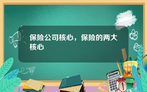 保险公司核心，保险的两大核心