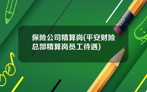 保险公司精算岗(平安财险总部精算岗员工待遇)
