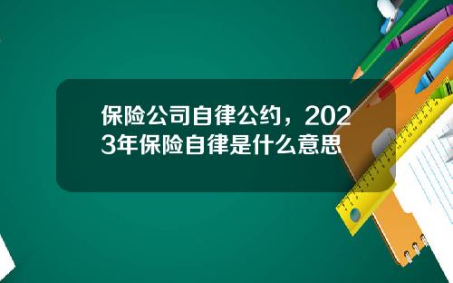 保险公司自律公约，2023年保险自律是什么意思
