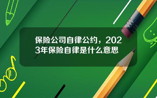 保险公司自律公约，2023年保险自律是什么意思