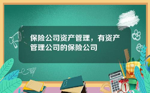 保险公司资产管理，有资产管理公司的保险公司