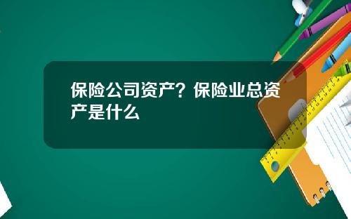 保险公司资产？保险业总资产是什么