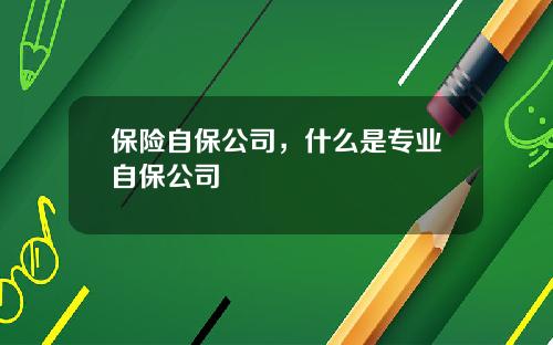 保险自保公司，什么是专业自保公司