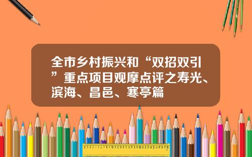 全市乡村振兴和“双招双引”重点项目观摩点评之寿光、滨海、昌邑、寒亭篇