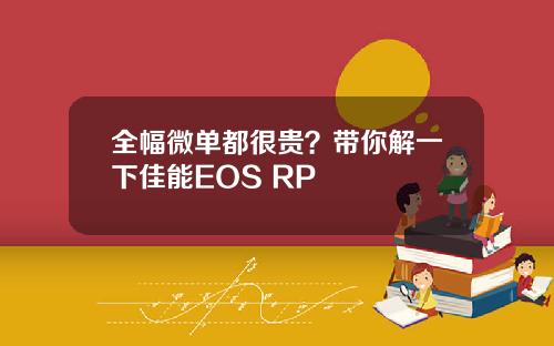 全幅微单都很贵？带你解一下佳能EOS RP