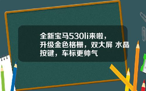 全新宝马530li来啦，升级金色格栅，双大屏+水晶按键，车标更帅气