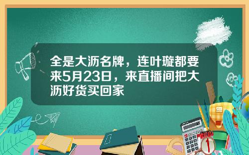全是大沥名牌，连叶璇都要来5月23日，来直播间把大沥好货买回家
