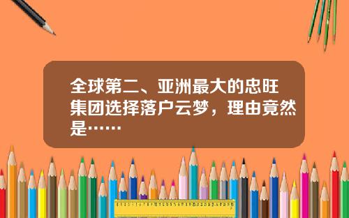 全球第二、亚洲最大的忠旺集团选择落户云梦，理由竟然是……