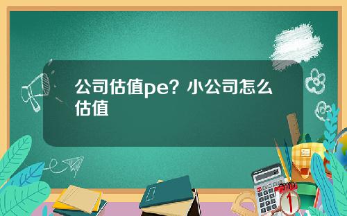 公司估值pe？小公司怎么估值