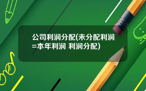 公司利润分配(未分配利润=本年利润+利润分配)