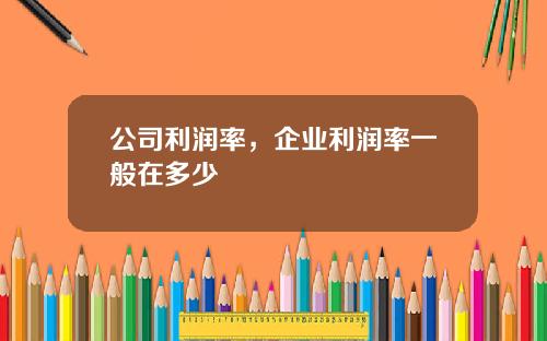 公司利润率，企业利润率一般在多少