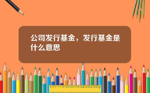 公司发行基金，发行基金是什么意思