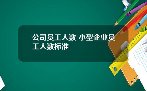 公司员工人数 小型企业员工人数标准