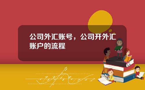 公司外汇账号，公司开外汇账户的流程