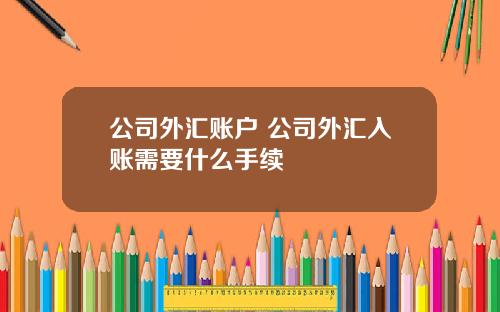 公司外汇账户 公司外汇入账需要什么手续