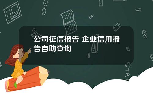 公司征信报告 企业信用报告自助查询