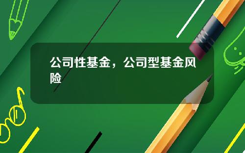 公司性基金，公司型基金风险