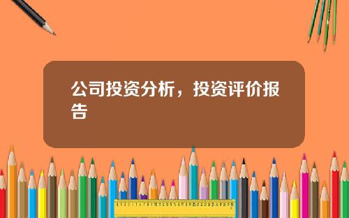 公司投资分析，投资评价报告