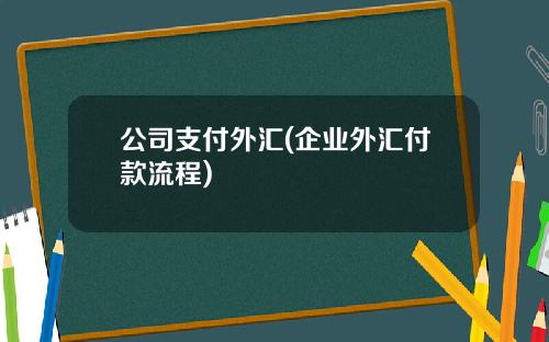 公司支付外汇(企业外汇付款流程)